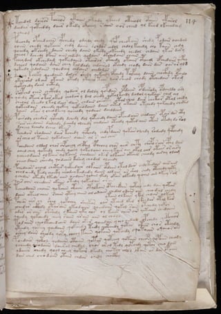 Manuscrito voynich