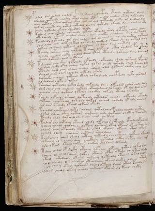 Manuscrito voynich