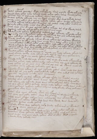 Manuscrito voynich