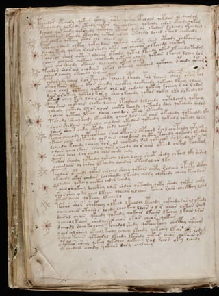 Manuscrito voynich