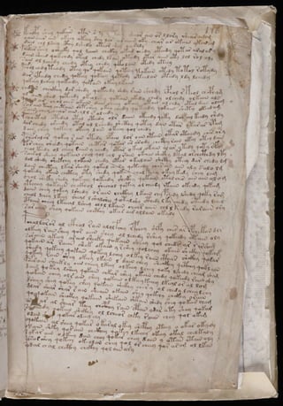 Manuscrito voynich