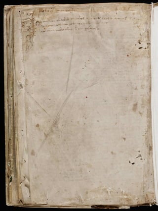 Manuscrito voynich