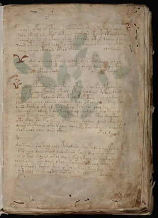 Manuscrito voynich