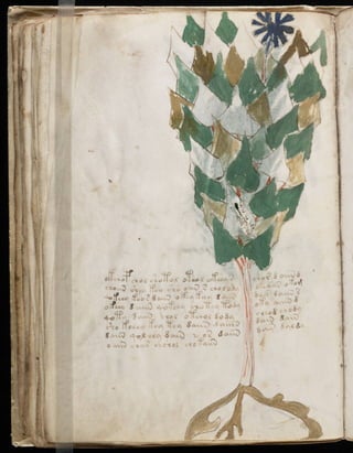 Manuscrito voynich
