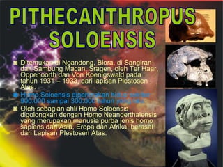 ◙ Ditemukan di Ngandong, Blora, di Sangiran
dan Sambung Macan, Sragen, oleh Ter Haar,
Oppenoorth dan Von Koenigswald pada
tahun 1931 – 1933, dari lapisan Plestosen
Atas.
◙ Homo Soloensis diperkirakan hidup sekitar
900.000 sampai 300.000 tahun yang lalu.
◙ Oleh sebagian ahli Homo Soloensis
digolongkan dengan Homo Neanderthalensis
yang merupakan manusia purba jenis homo
sapiens dari Asia, Eropa dan Afrika, berasal
dari Lapisan Plestosen Atas.

 