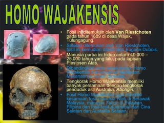 •
•
•
•
•
•

Fosil ini ditemukan oleh Van Riestchoten
pada tahun 1889 di desa Wajak,
Tulungagung.
Setelah ditemukan oleh Van Riestchoten,
fosil ini kemudian diteliti oleh Eugene Dubois.
Manusia purba ini hidup antara 40.000 –
25.000 tahun yang lalu, pada lapisan
Plestosen Atas.
Dibandingkan jenis sebelumnya, Homo
Wajakensis menunjukkan kemajuan.
Makanannya sudah dimasak.
Tengkorak Homo Wajakensis memiliki
banyak persamaan dengan tengkorak
penduduk asli Australia, Aborigin.
Fosil Homo Wajakensis juga memiliki
kesamaan fosil manusia Niah di Serawak
Malaysia, manusia Tabon di Palawan,
Filipina dan fosil-fosil Australoid dari Cina
Selatan dan Australia Selatan.

 
