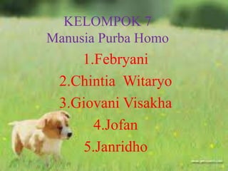 KELOMPOK 7
Manusia Purba Homo
1.Febryani
2.Chintia Witaryo
3.Giovani Visakha
4.Jofan
5.Janridho
 