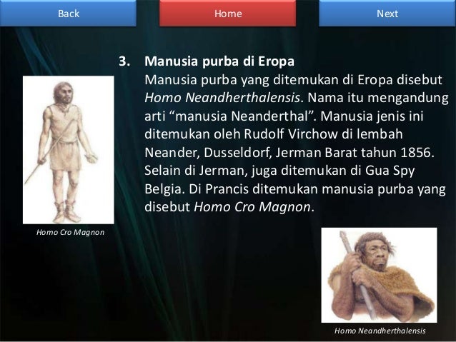 Manusia purba