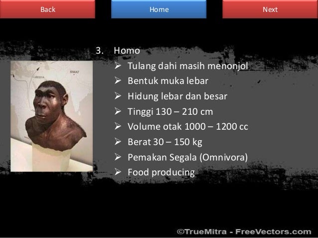 Manusia purba