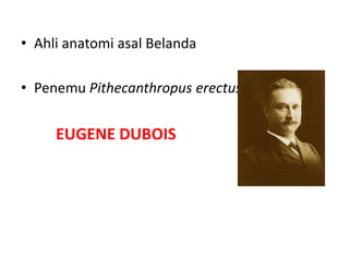 • Ahli anatomi asal Belanda
• Penemu Pithecanthropus erectus
EUGENE DUBOIS
 