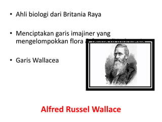 • Ahli biologi dari Britania Raya
• Menciptakan garis imajiner yang
mengelompokkan flora & fauna di Indonesia
• Garis Wallacea
Alfred Russel Wallace
 