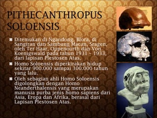 Manusia purba2 | PPT