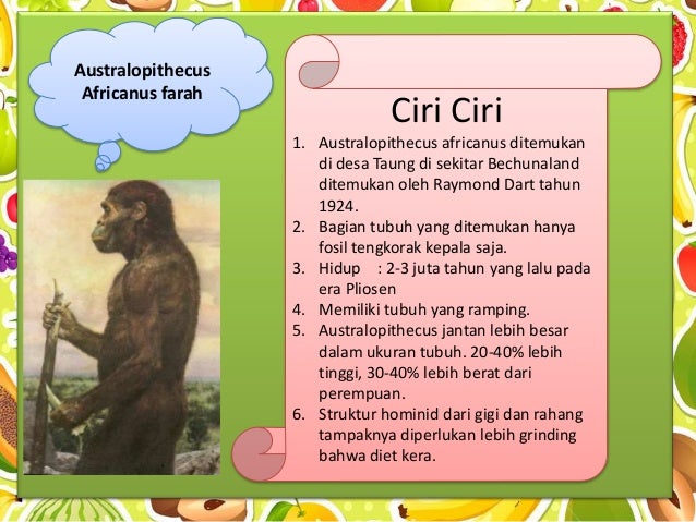 Manusia purba afrika