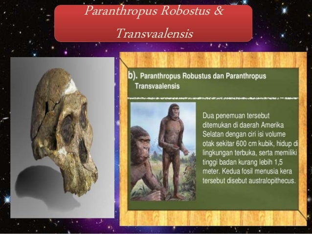 Manusia purba afrika