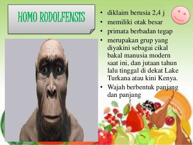 Manusia purba afrika