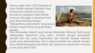 Manusia purba asia | PPT