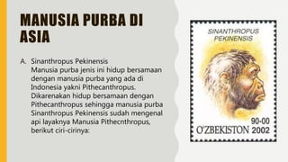 Manusia purba asia | PPT