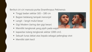 Manusia purba asia | PPT