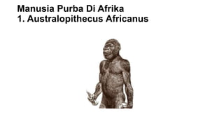 Manusia Purba Di Afrika
1. Australopithecus Africanus
 