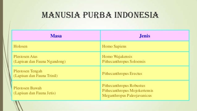 Manusiapurbadiindonesia 130305050551-phpapp02 Manusiapurbadiindonesia 130305050551-phpapp02