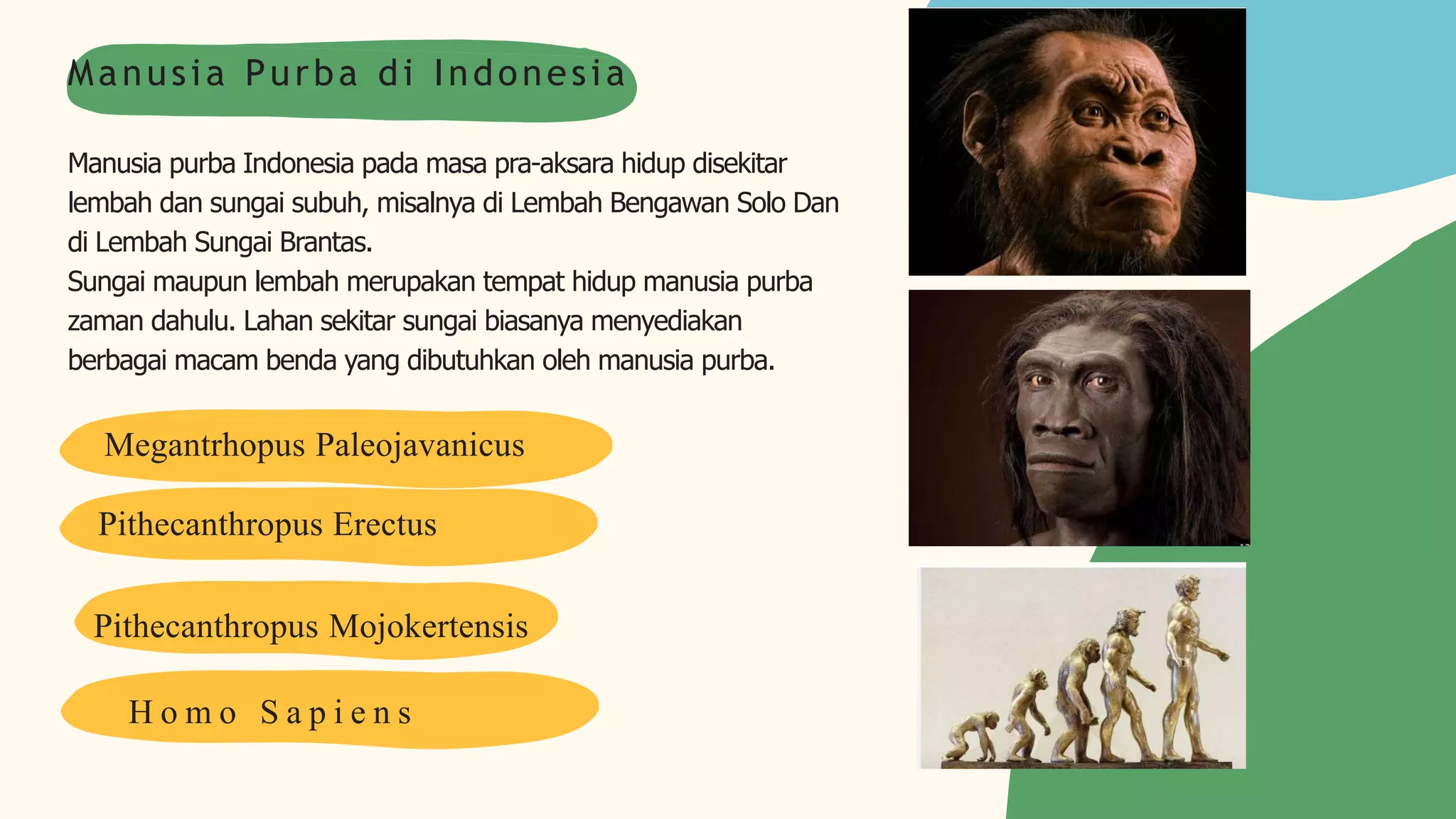 Manusia Purba di Indonesia.pptx