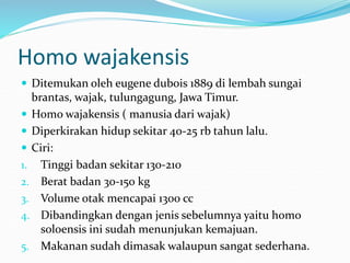 MANUSIA PURBA DI INDONESIA.ppt