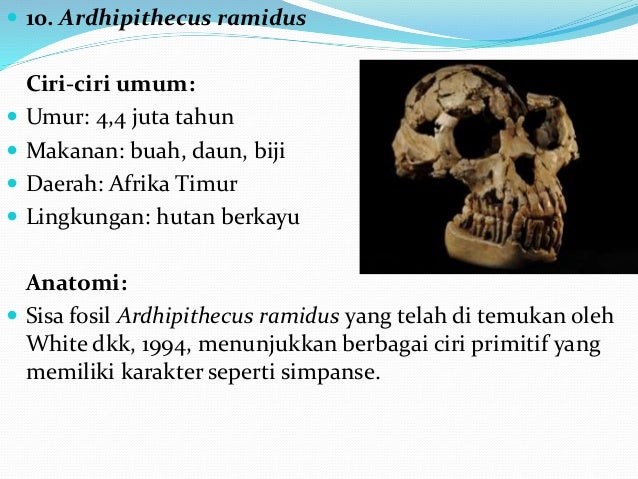Manusia purba di luar Indonesia Manusia purba di luar Indonesia
