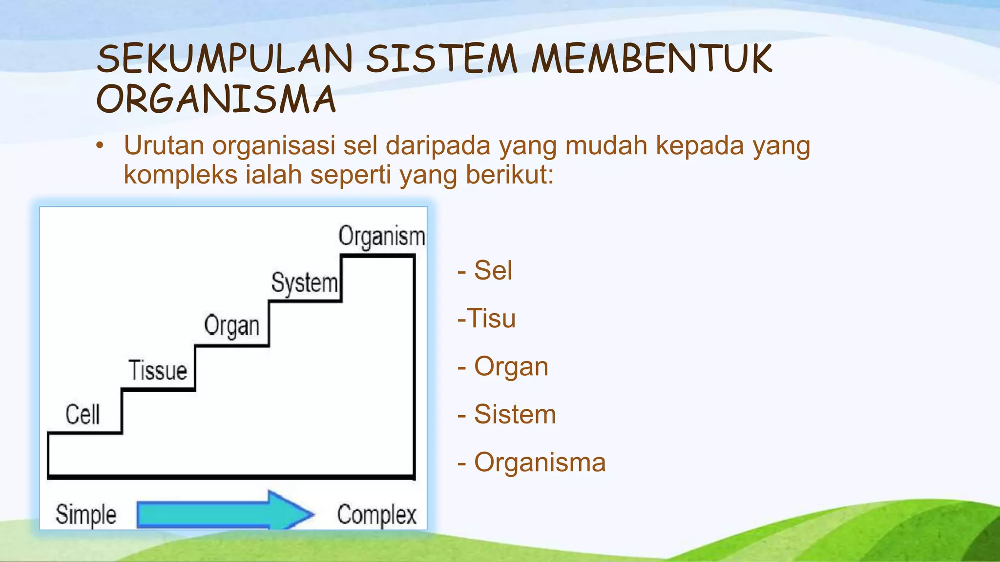 SEKUMPULAN SISTEM MEMBENTUK
ORGANISMA
• Urutan organisasi sel daripada yang mudah kepada yang
  kompleks ialah seperti yang berikut:


                           - Sel
                           -Tisu
                           - Organ
                           - Sistem
                           - Organisma
 