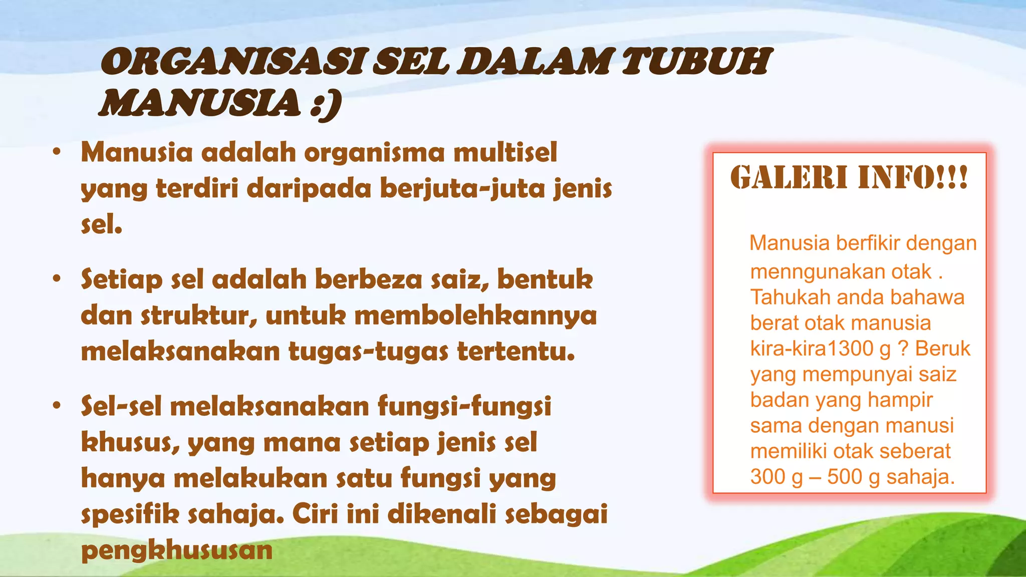 ORGANISASI SEL DALAM TUBUH
   MANUSIA :)
• Manusia adalah organisma multisel
  yang terdiri daripada berjuta-juta jenis     GALERI INFO!!!
  sel.
                                                Manusia berfikir dengan
• Setiap sel adalah berbeza saiz, bentuk        menngunakan otak .
                                                Tahukah anda bahawa
  dan struktur, untuk membolehkannya            berat otak manusia
  melaksanakan tugas-tugas tertentu.            kira-kira1300 g ? Beruk
                                                yang mempunyai saiz
• Sel-sel melaksanakan fungsi-fungsi            badan yang hampir
                                                sama dengan manusi
  khusus, yang mana setiap jenis sel            memiliki otak seberat
  hanya melakukan satu fungsi yang              300 g – 500 g sahaja.
  spesifik sahaja. Ciri ini dikenali sebagai
  pengkhususan
 