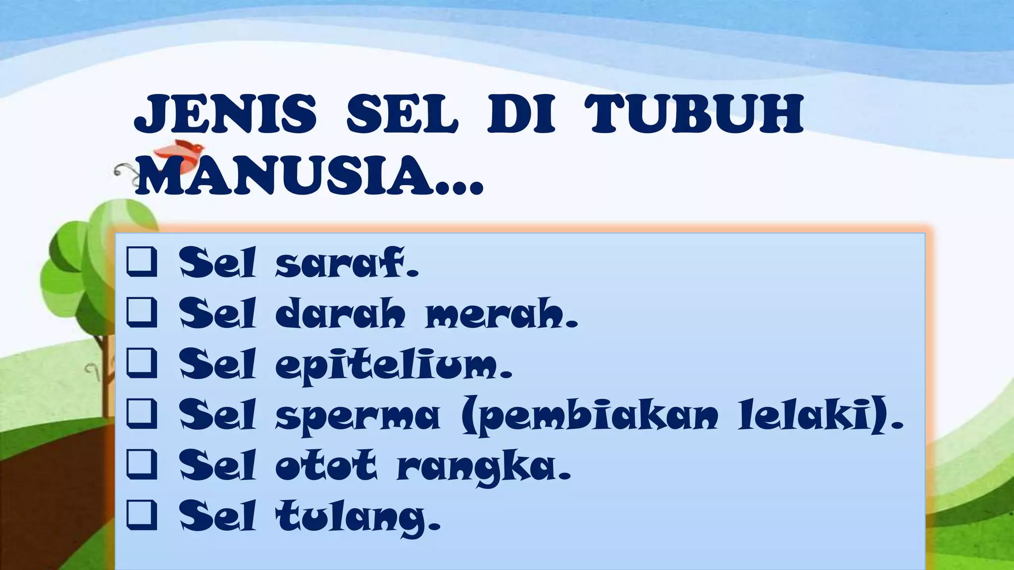 JENIS SEL DI TUBUH
MANUSIA…
   Sel   saraf.
   Sel   darah merah.
   Sel   epitelium.
   Sel   sperma (pembiakan lelaki).
   Sel   otot rangka.
   Sel   tulang.
 