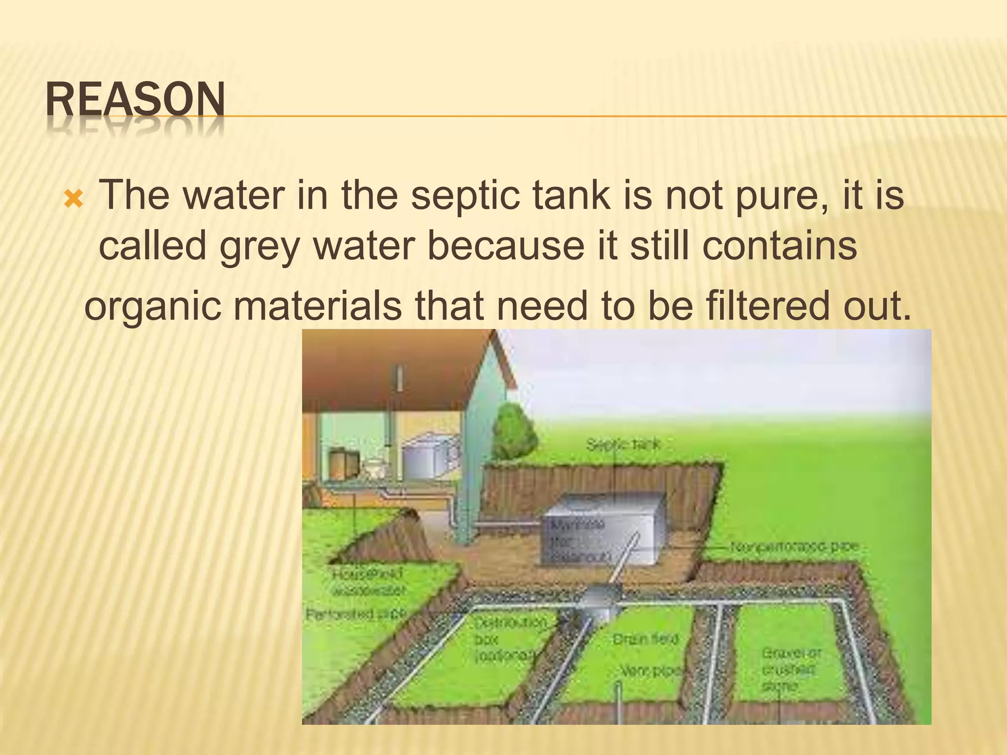 REASON
 The water in the septic tank is not pure, it is
called grey water because it still contains
organic materials that need to be filtered out.
 