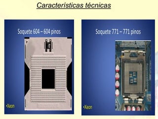 Características técnicas
 