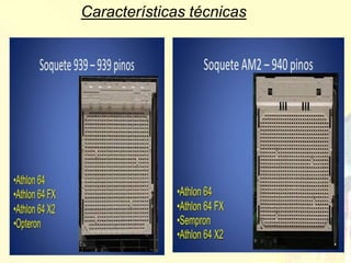 Características técnicas
 
