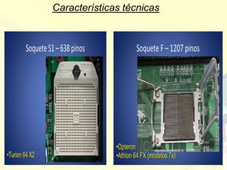 Características técnicas
 