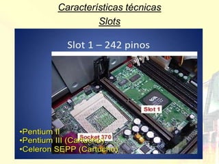 Características técnicas
         Slots
 
