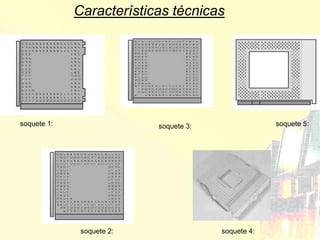 Características técnicas




soquete 1:                 soquete 3:                soquete 5:




              soquete 2:                soquete 4:
 