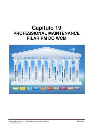 Manutenção Industrial – Entendendo sua função e organização Página 135
Jose Donizetti Moraes
Capitulo 19
PROFESSIONAL MAINTENANCE
PILAR PM DO WCM
 