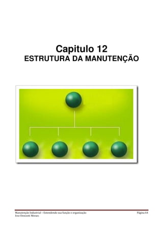 Manutenção Industrial – Entendendo sua função e organização Página 64
Jose Donizetti Moraes
Capitulo 12
ESTRUTURA DA MANUTENÇÃO
 