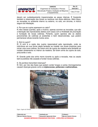 UNINOVE

Rev. B

Engenharia de Avaliações e Perícias
Manutenção Predial e Avaliação de Máquinas
e Equipamentos

16/07/2011
Folha 271/424

devem ser cuidadosamente inspecionadas as peças internas. É freqüente
também a observação dos túneis ou resíduos nos dutos elétricos. Além disso,
as revoadas no ambiente interno ou externo, no solo, em árvores, é indício
seguro da infestação.
4. Por que os cupins aparecem no calor?
R: Nos meses quentes, após o inverno, apenas ocorrem as revoadas, que são
a liberação dos reprodutores alados (com asas) com a finalidade de procriação
e fundação de novas colônias. Portanto, quem aparece são os alados
provenientes de colônias já existentes e bem desenvolvidas, que podem
permanecer ativas durante muitos anos.
5. Siriri é cupim?
R: O siriri é a casta dos cupins responsável pela reprodução, onde os
indivíduos em sua forma alada tentarão se instalar nos locais propícios para
iniciar uma nova colônia. Se forem siriri de cupins de madeira seca tentarão se
instalar diretamente no interior da madeira. Se forem siriris de cupins de solo,
procurarão o solo.
R: Grande parte dos siriris morre durante ou após a revoada, mas os casais
bem-sucedidos irão acasala e fundar novas colônias.
6. Os pombos transmitem doenças?
R: Sim, por mio das fezes que podem conter fungos e outros microrganismos
causam doenças graves como a criptococose, psitacose e salmonelose.

Figura: Sujeira de Pombos

Elaborado por:

Analisado por:

Professor :

Marcelo Gandra Falcone

Alessandra Aparecida Vieira

Marcelo Gandra Falcone

QUANDO IMPRESSO CONSIDERAR PIRATARIA - CÓPIA NÃO AUTORIZADA

 
