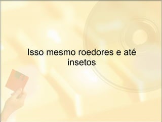 Isso mesmo roedores e até insetos 