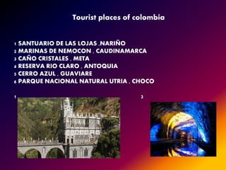 Tourist places of colombia
1 SANTUARIO DE LAS LOJAS ,NARIÑO
2 MARINAS DE NEMOCON , CAUDINAMARCA
3 CAÑO CRISTALES , META
4 RESERVA RIO CLARO , ANTOQUIA
5 CERRO AZUL , GUAVIARE
6 PARQUE NACIONAL NATURAL UTRIA , CHOCO
1 2
 