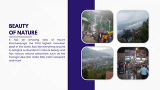 Manya Ranjan Manya Ranjan VIII-F Ryan International SchoolPresentation | PPTX