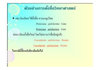 ตัวอย่างการตังชือวิทยาศาสตร์
                       (
• เช่น ลินเนียส ได้ตงชือ หางนกยูงไทย
                    ั
                       Poinciana pulcherime Linn
                       Poinciana pulcherime Linn
                                           ่
 ต่อมา มีคนตังชือใหม่ โดยไม่ทราบว่าชือมีอยูแล้ว
                      Caesalpinla pulcherima Swartz
                    Caesalpinla pulcherima Swartz
ในกรณีนีชือหลังต้ องล้มเลิกไป
 