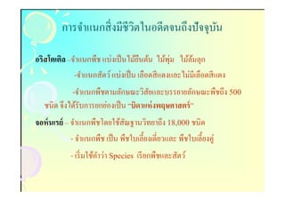 การจําแนกสิ งมีชีวตในอดีตจนถึงปั จจุบน
                           ิ                  ั

                                     ื         ุ่
อริสโตเติล –จําแนกพืช แบ่งเป็ นไม้ยนต้น ไม้พม ไม้ลมลุก้
             -จําแนกสัตว์ แบ่งเป็ น เลือดสี แดงและไม่มีเลือดสี แดง
            -จําแนกพืชตามลักษณะวิสยและบรรยายลักษณะพืชถึง 500
                                      ั
   ชนิด จึงได้รับการยกย่องเป็ น “บิดาแห่ งพฤษศาสตร์ ”
จอห์ นเรย์ – จําแนกพืชโดยใช้สณฐานวิทยาถึง 18,000 ชนิด
                                ั
             - จําแนกพืช เป็ น พืชใบเลียงเดียวและ พืชใบเลียงคู่
            - เริ มใช้คาว่า Species เรี ยกพืชและสัตว์
                       ํ
 