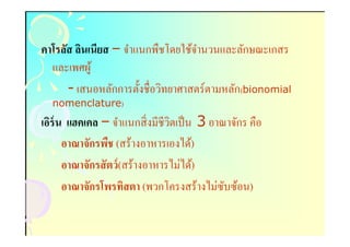 คาโรลัส ลินเนียส – จําแนกพืชโดยใช้จานวนและลักษณะเกสร
                                   ํ
  และเพศผู ้
      - เสนอหลักการตังชือวิทยาศาสตร์ ตามหลัก(bionomial
  nomenclature)
เอิร์น แฮคเคล – จําแนกสิ งมีชีวตเป็ น 3 อาณาจักร คือ
                                ิ
      อาณาจักรพืช (สร้างอาหารเองได้)
      อาณาจักรสั ตว์ (สร้างอาหารไม่ได้)
      อาณาจักรโพรทิสตา (พวกโครงสร้างไม่ซบซ้อน)
                                           ั
 