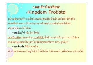 อาณาจักรโพรทิสตา
                  (Kingdom Protista)
                           Protista)
                                              ่
 มีนิวเคลียสทีแท้จริ ง มีเยือหุ มเซลล์อาศัยอยูในนําหรื อภายในสิ งมีชีวิตอืน
                                ้
 บางชนิดกินอาหารได้โดยรับอาหารเข้าเซลล์ บางชนิดมีคลอโรฟิ ลล์
 สังเคราะห์แสงได้ ได้แก่
      พวกคล้ ายสั ตว์ เช่นโพรโตซัว
(พวกมีขาเทียม เช่น อะมีบา พวกมีซีเลีย ซึงเป็ นขนเส้นเล็กๆ เช่น พารามีเซียม
พวกมีแฟคเจลลัม มีโครงสร้างเป็ นลักษณะเส้นยาวๆ เช่น ยูกลีนา)
      พวกคล้ ายพืช ได้แก่ สาหร่ าย
(เป็ นโพรทิสต์ขนาดใหญ่ ไม่มีใบไม่มีลาต้น ไม่มีรากเหมือนพืชสังเคราะห์แสงได้)
                                          ํ
 