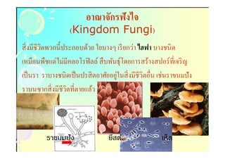 อาณาจักรฟังไจ
                  (Kingdom Fungi)
                           Fungi)
สิ งมีชีวตพวกนีประกอบด้วย ใยบางๆ เรี ยกว่า ไฮฟา บางชนิด
         ิ
เหมือนพืชแต่ไม่มีคลอโรฟิ ลล์ สื บพันธุ์โดยการสร้างสปอร์ ทีเจริ ญ
                                    ่
เป็ นรา ราบางชนิดเป็ นปรสิ ตอาศัยอยูในสิ งมีชีวตอืน เช่นราขนมปั ง
                                               ิ
ราบนซากสิ งมีชีวตทีตายแล้ว
                ิ




         ราขนมปั ง               ยีสต์               เห็ด
 