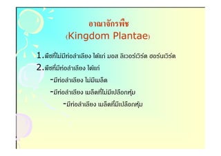 อาณาจักรพืช
            (Kingdom Plantae)
                     Plantae)

1.พืชทีไม่มท่อลําเลียง ได้แก่ มอส ลิเวอร์เวิรต ฮอร์นเวิรต
            ี                                ์          ์
2.พืชทีมีท่อลําเลียง ได้แก่
    -มีท่อลําเลียง ไม่มเี มล็ด
    -มีท่อลําเลียง เมล็ดทีไม่มเี ปลือกหุม
                                        ้
          -มีท่อลําเลียง เมล็ดทีมีเปลือกหุม้
 