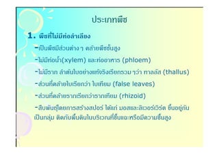 ประเภทพืช
1. พืชทีไม่มีท่อลําเลียง
 -เป็ นพืชมีสวนต่างๆ คล้ายพืชชันสูง
              ่                 -
 -ไม่มท่อนํา(xylem) และท่ออาหาร (phloem)
         ี -
 -ไม่มราก ลําต้นใบอย่างแท้จริงเรียกรวมๆว่า ทาลลัส (thallus)
       ี
 -ส่วนทีคล้ายใบเรียกว่า ใบเทียม (false leaves)
 -ส่วนทีคล้ายรากเรียกว่ารากเทียม (rhizoid)
 -สืบพันธุโ์ ดยการสร้างสปอร์ ได้แก่ มอสและลิเวอร์เวิรต ขึนอยูกน
                                                       ์ - ่ ั
 เป็ นกลุม ติดกับพื-นดินในบริเวณทีชืนแฉะหรือมีความชืนสูง
          ่                         -                -
 