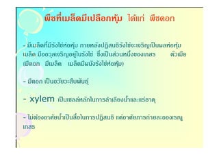 พืชทีเมล็ดมีเปลือกหม ได้แก่ พืชดอก
                           ุ้

- มีเมล็ดทีมีรงไข่ห่อหุม ภายหลังปฏิสนธิรงไข่จะเจริญเป็ นผลห่อหุม
              ั        ้                ั                      ้
เมล็ด มีออวุลเจริญอยู่ในรังไข่ ซึงเป็ นส่วนหนึงของเกสร     ตัวเมีย
(มีดอก มีเมล็ด เมล็ดมีผนังรังไข่ห่อหุม)   ้

- มีดอก เป็ นอวัยวะสืบพันธุ์

- xylem เป็ นเซลล์หลักในการลําเลียงนําและแร่ธาตุ
                                     -

- ไม่ตองอาศัยนําเป็ นสือในการปฏิสนธิ แต่อาศัยการถ่ายละอองเรณู
      ้        -
เกสร
 